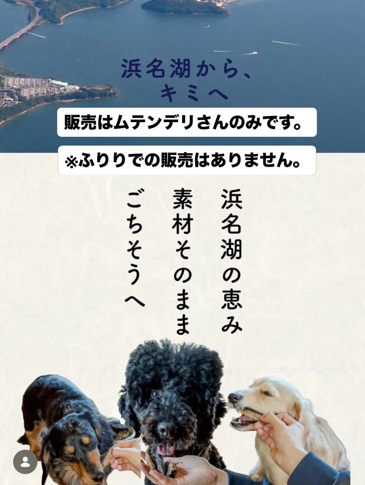 ムテンデリさんから「うなぱり」が発売になりました。