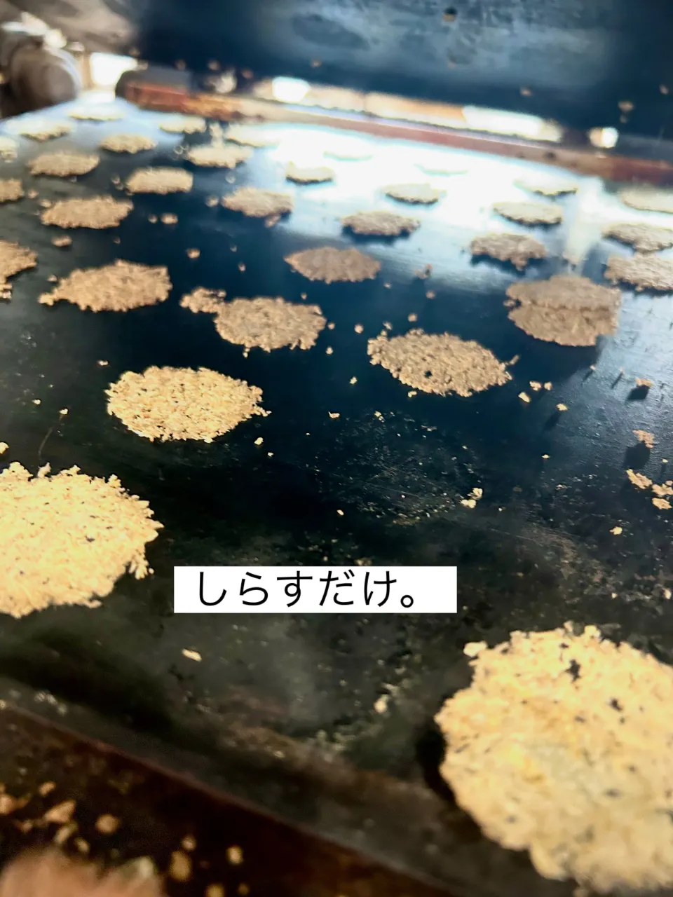 しらすのまんま。