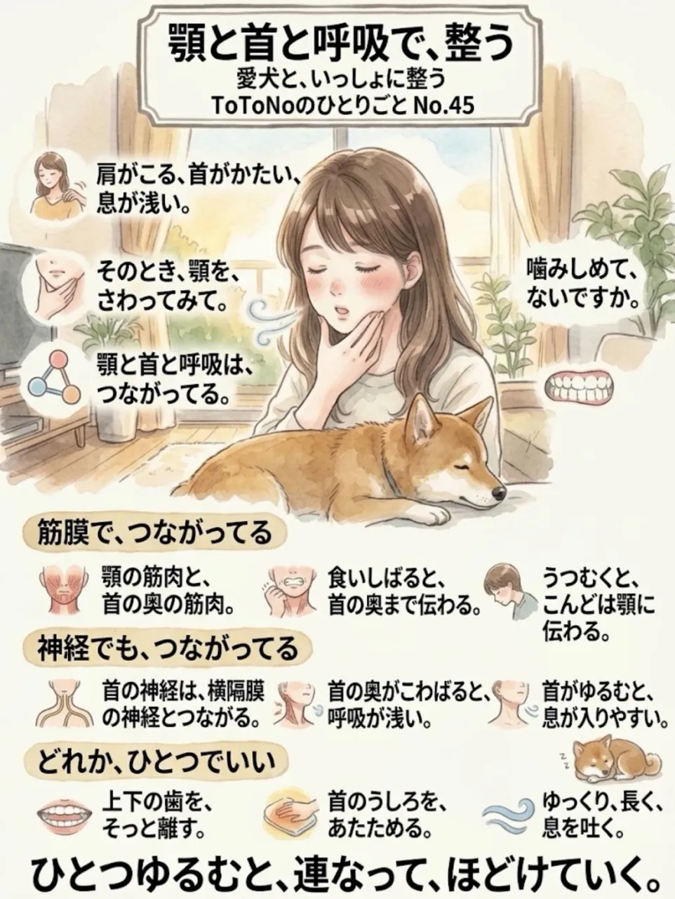 顎と首と呼吸で、整う（つながってる、からだ）