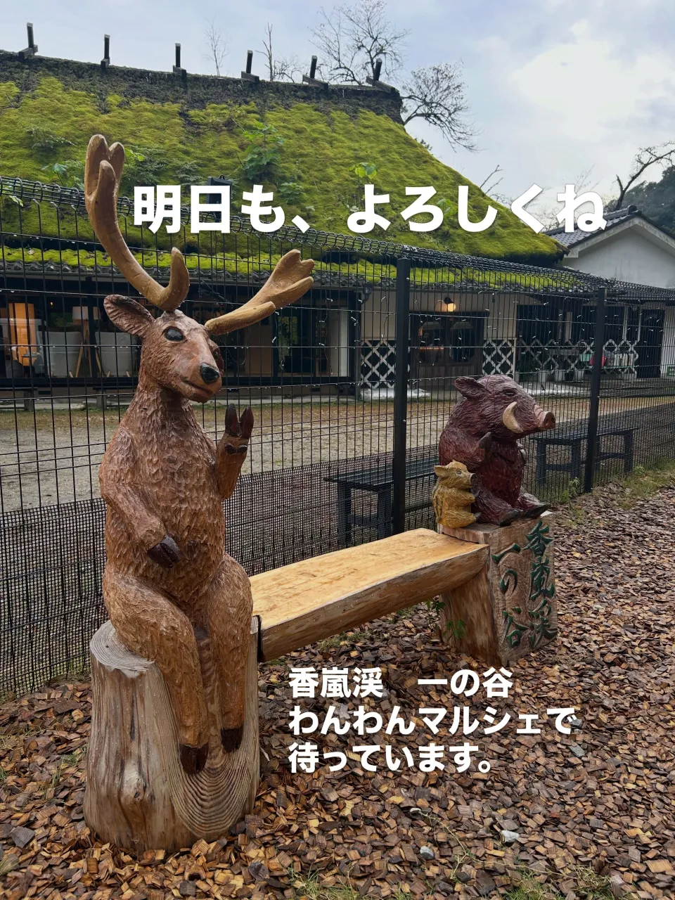 一の谷わんわんマルシェ🐶1日目終わり。