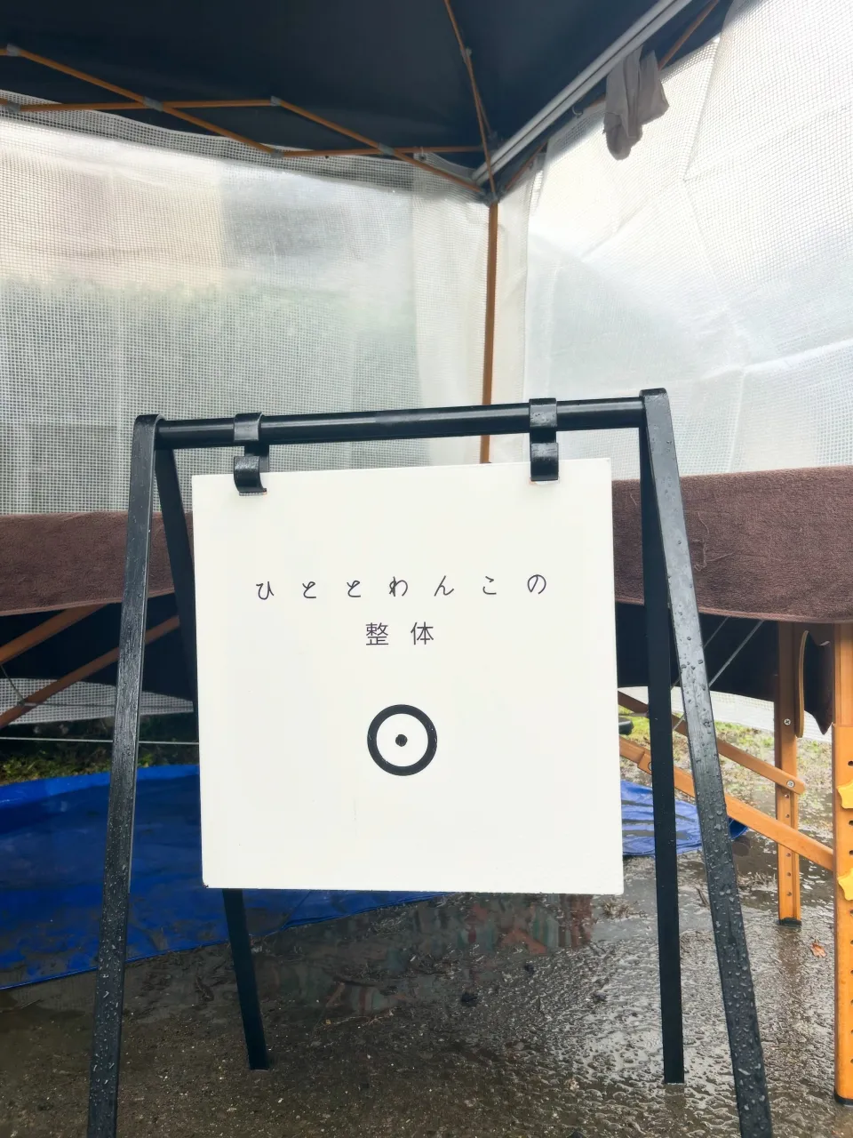 人とわんこの整体