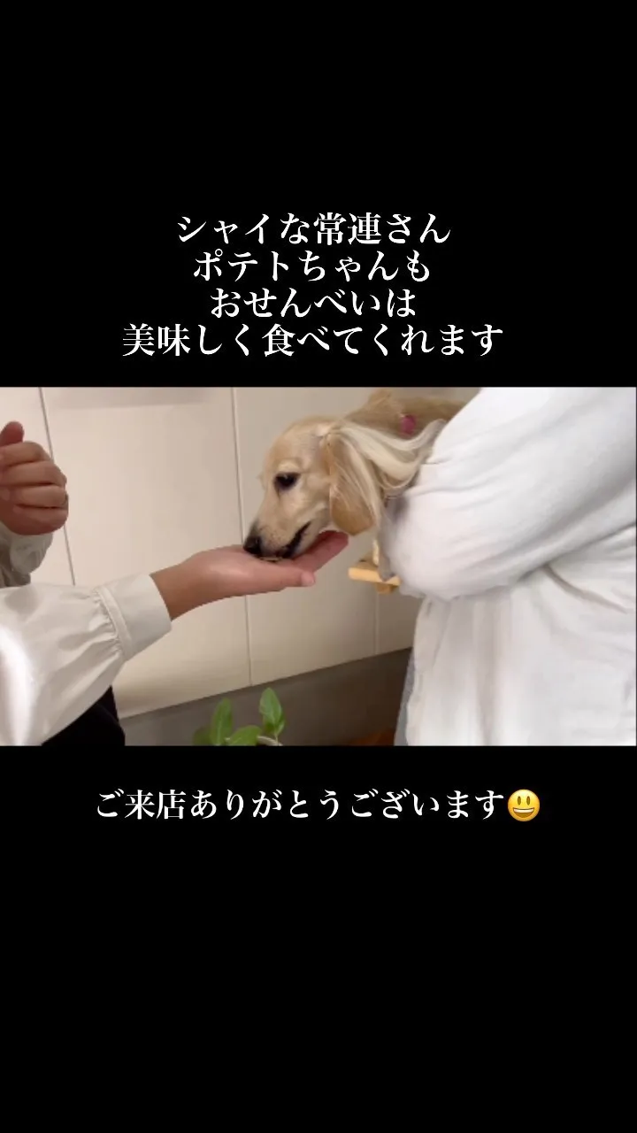 シャイな常連さんポテトちゃんもおせんべい美味しく食べてくれて...