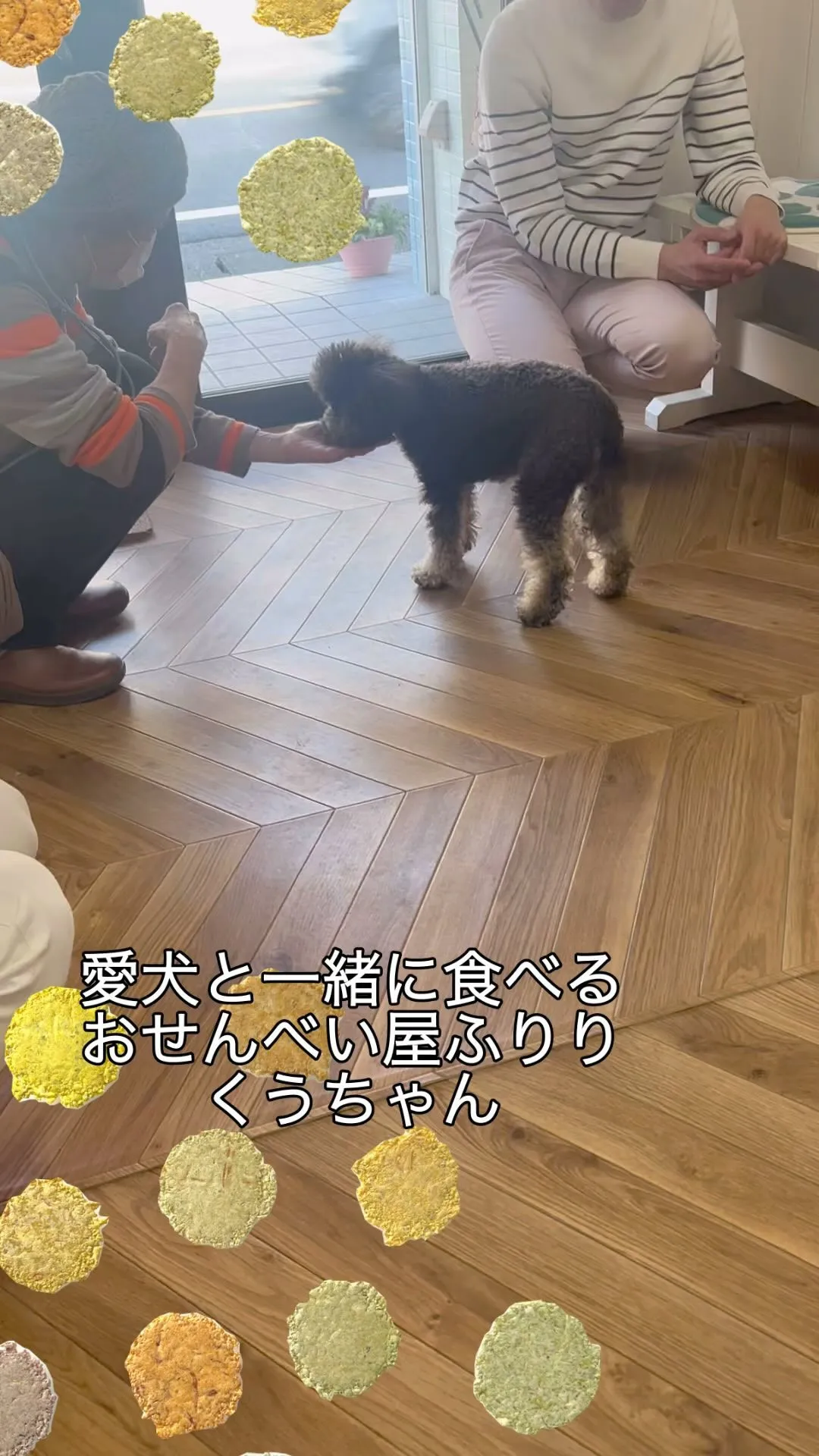 愛犬と一緒に食べるおせんべい屋ふりり。