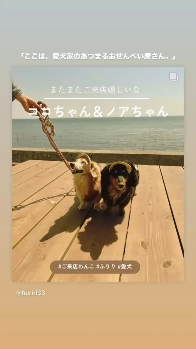 愛犬といっしょに、おやつの時間を。