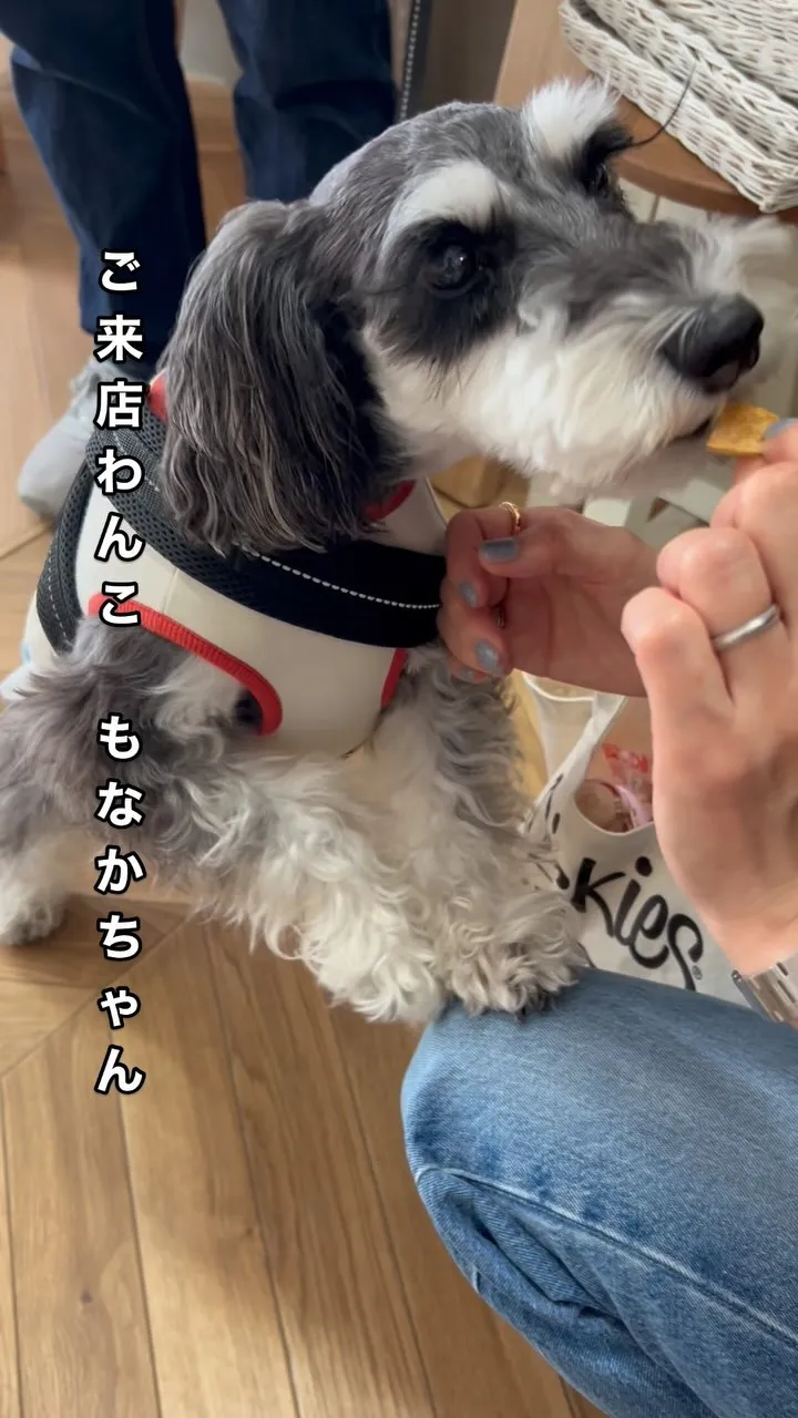 【もなかちゃんのニコニコ笑顔にほっこり。