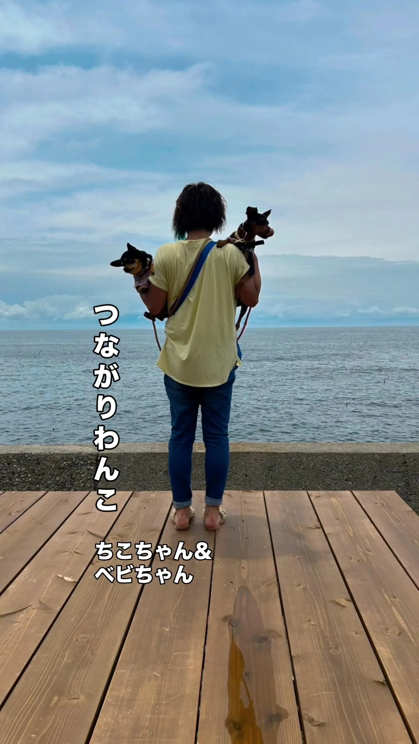 ちこちゃん＆ベビくん、ふりり応援隊♪またまたご来店ありがとう...