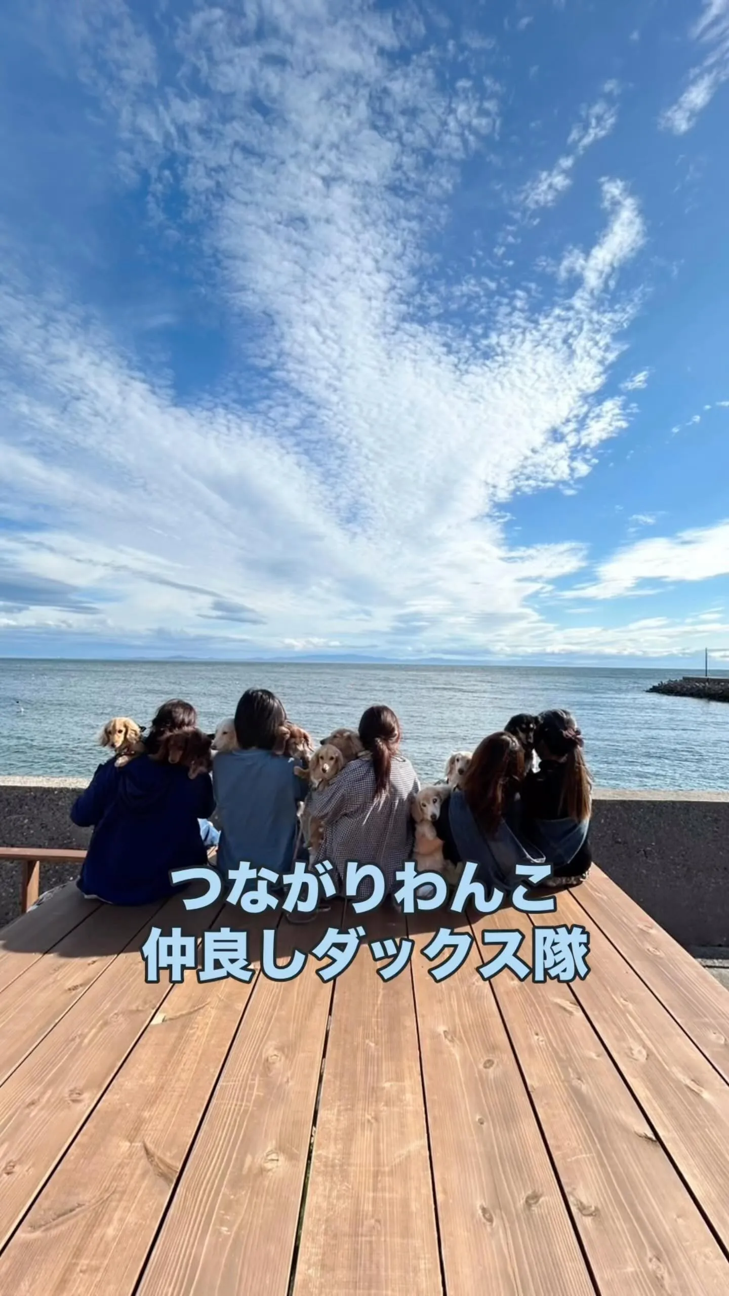 仲良しダックス隊大集合！笑顔とさつまいものおせんべいでふりり...