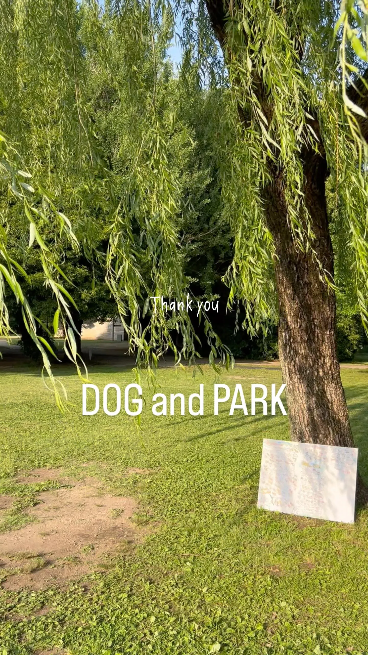 「わんちゃんたちとお名前アート完成😀完売御礼！アットホームな...