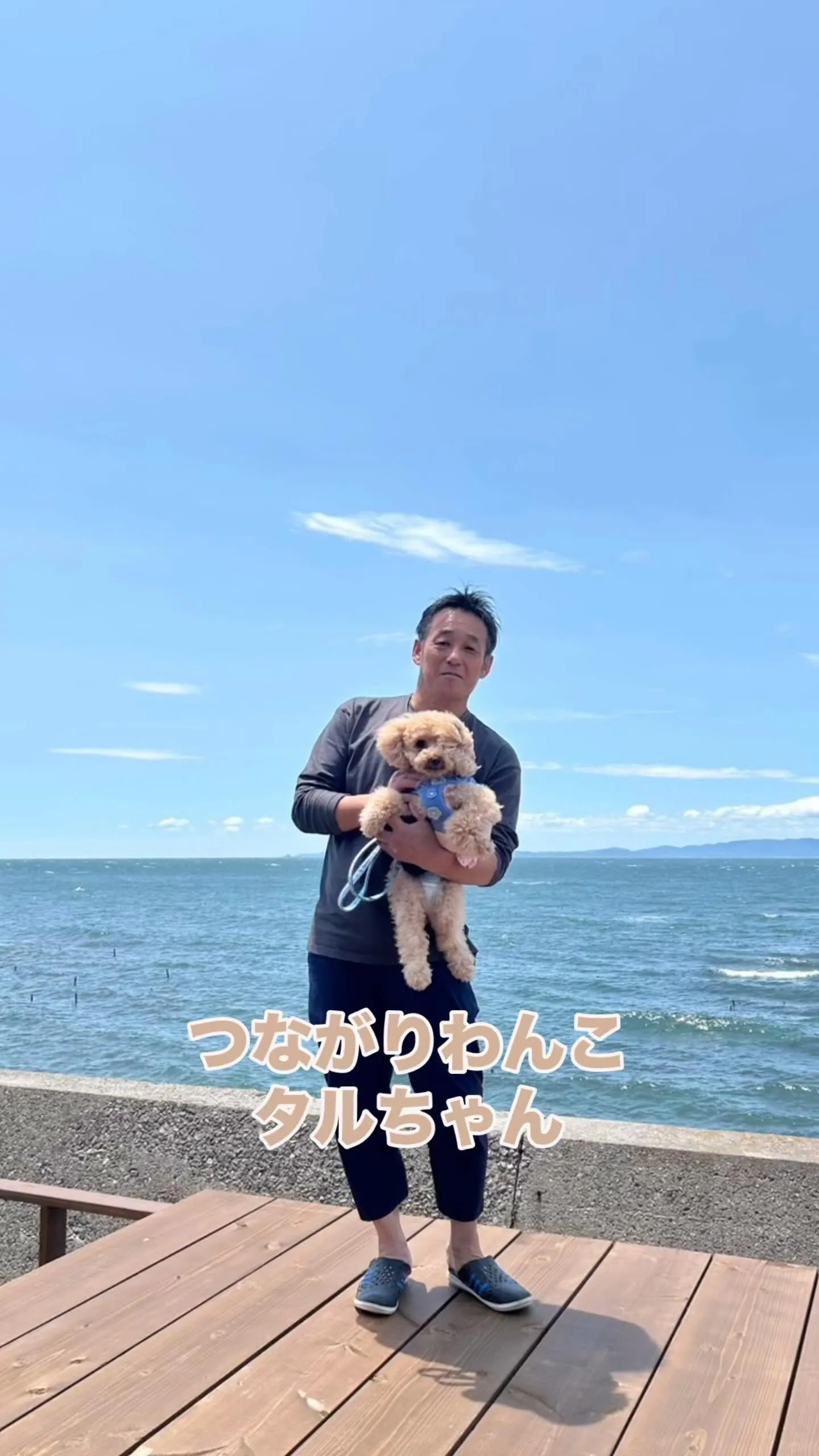 🎵 「わんぼうだいへようこそ✨タルちゃんに感謝」 🎵