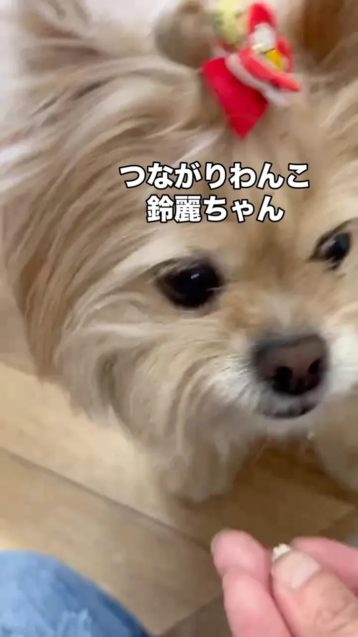 🍘 プレゼントに選選んでくれてありがとう。