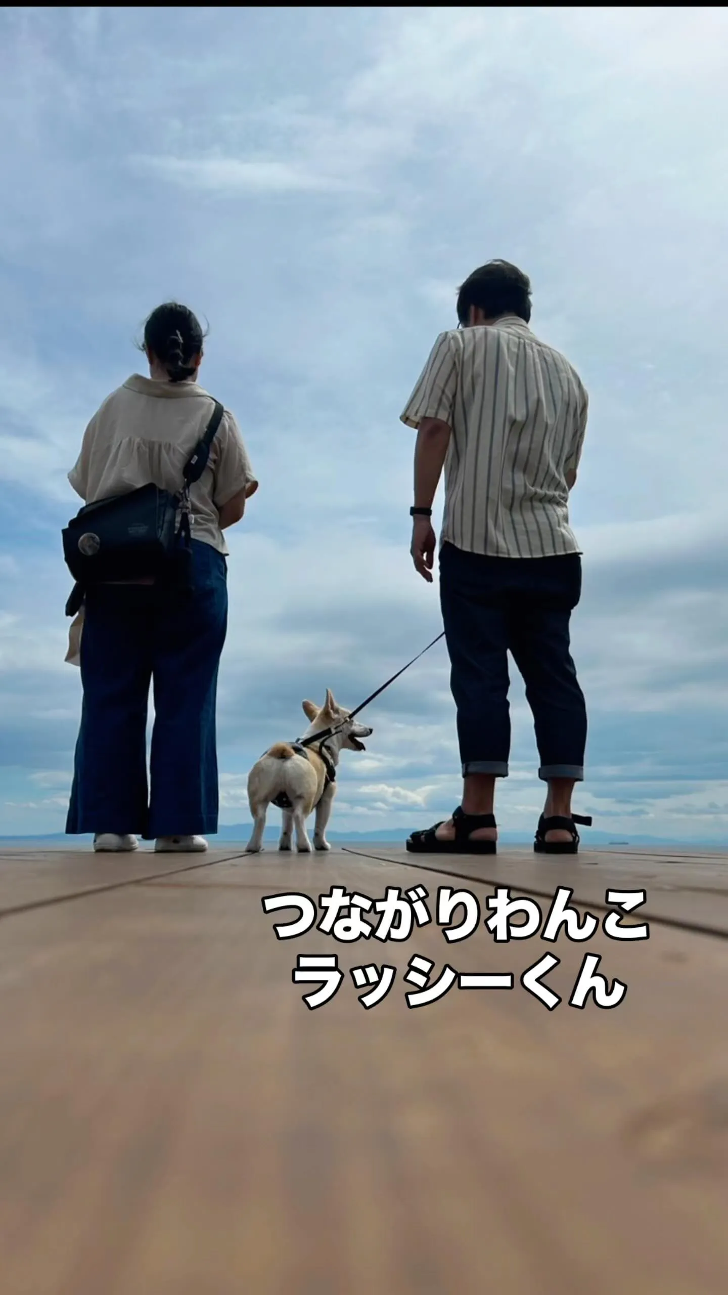 ラッシーくん、2度目のご来店ありがとう｜愛犬も無添加おせんべ...