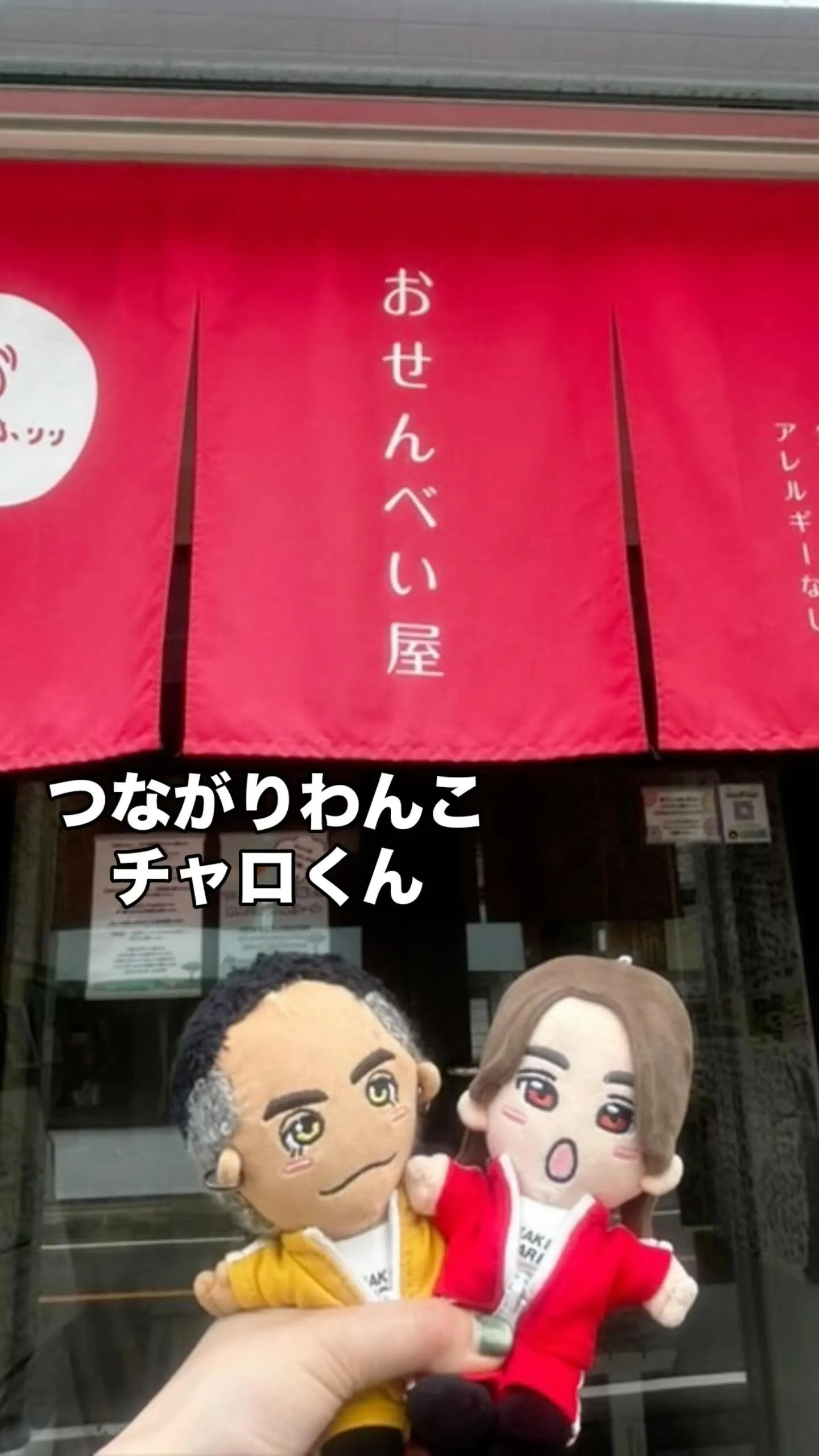 🐾 チャロくん、お留守番でもつながってたね｜つながりわんこ ...