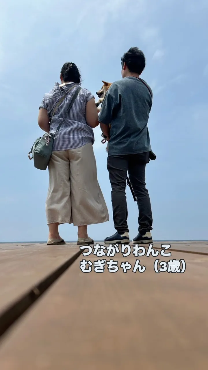 🐾 むぎちゃん、ウコンとさつまいもでにっこり｜つながりわんこ...