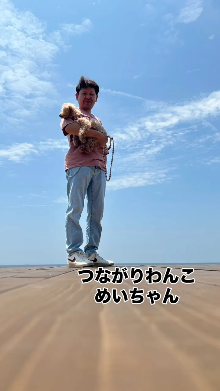 🐾 めいちゃん、ご家族と一緒のやさしい時間｜つながりわんこ ...