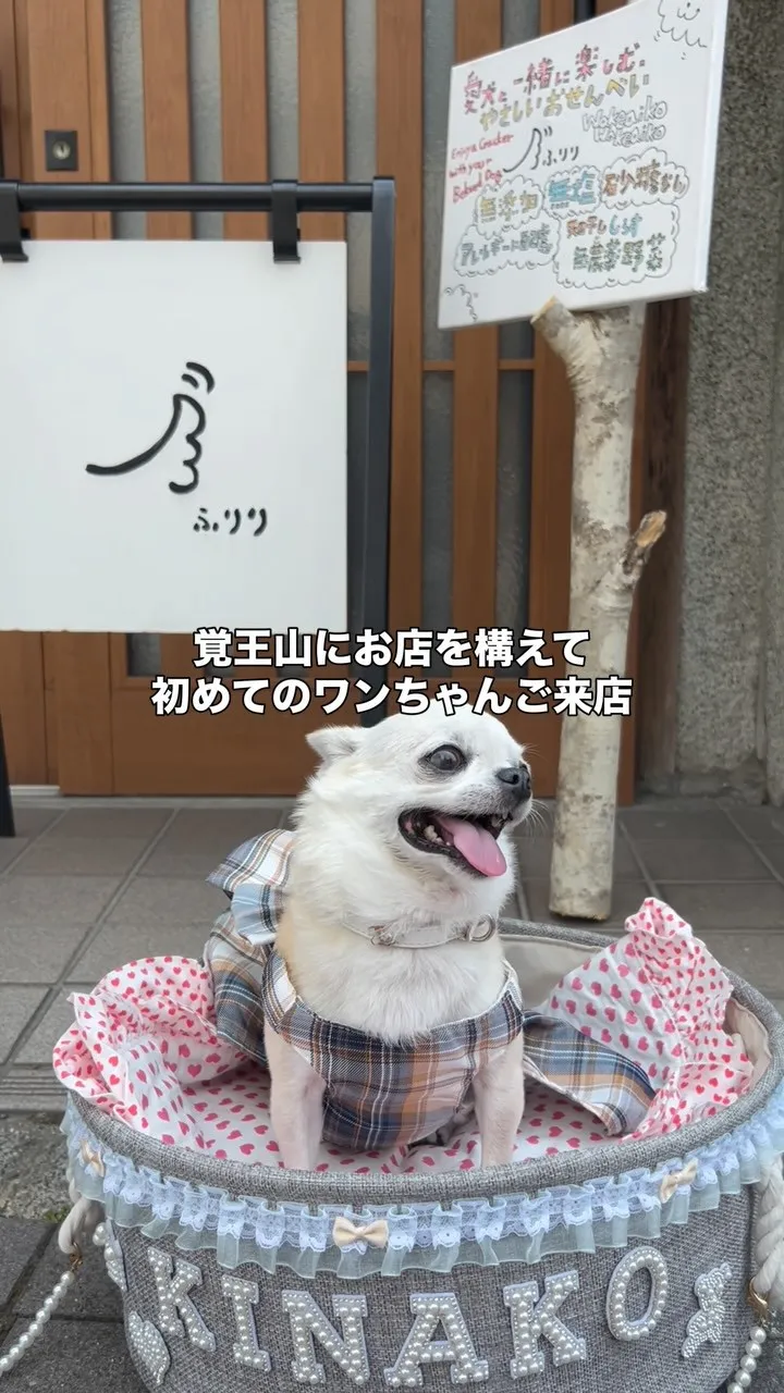 覚王山参道のお店に初めてのわんちゃんのお客様。