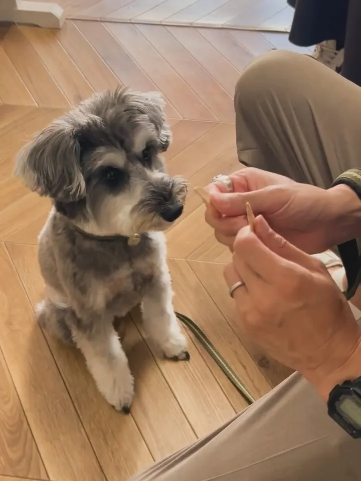 つぶらくん｜海岸線ドライブの〆はふりりへ🐾