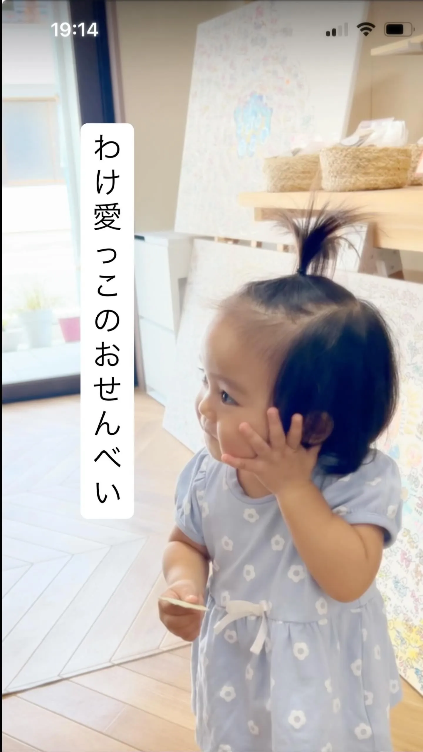 割っても粉が出ないおせんべいの秘密㊙️