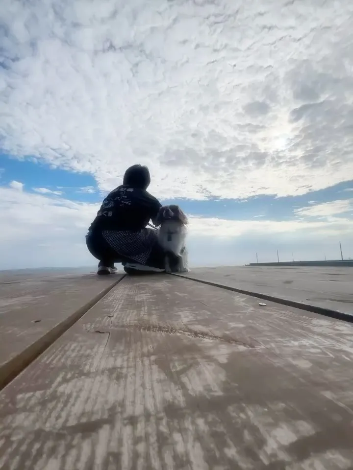 【本日のわん客さま🐶】ナッツくん🥜（キャバリア）ご来店ありが...