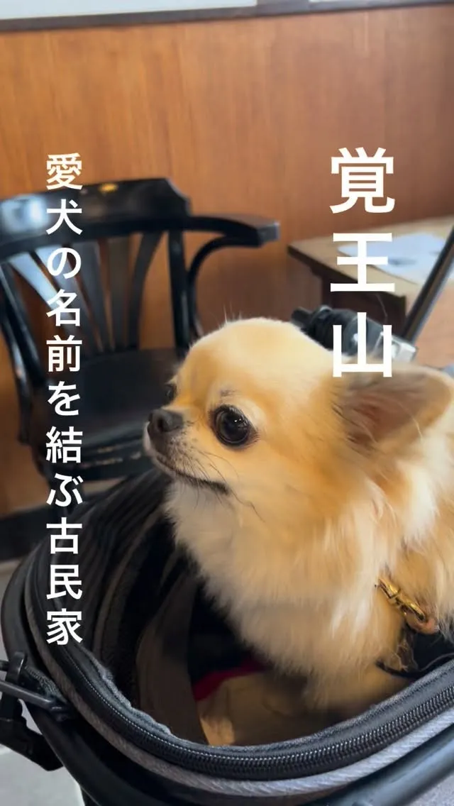 覚王山でわんこの名前を結ぶ。