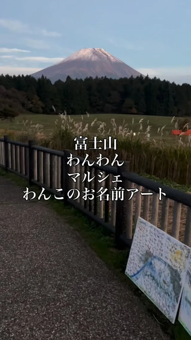 わんこのお名前アート【富士山わんわんマルシェ】