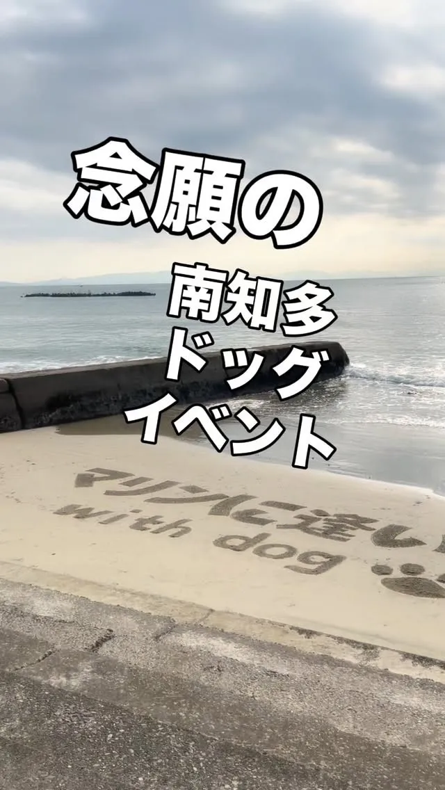 １１月９日の【マリンに逢いたい】荒天のため中止。
