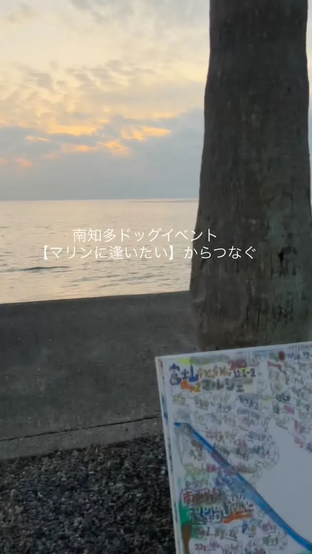 わんこのお名前アート【マリンに逢いたい】