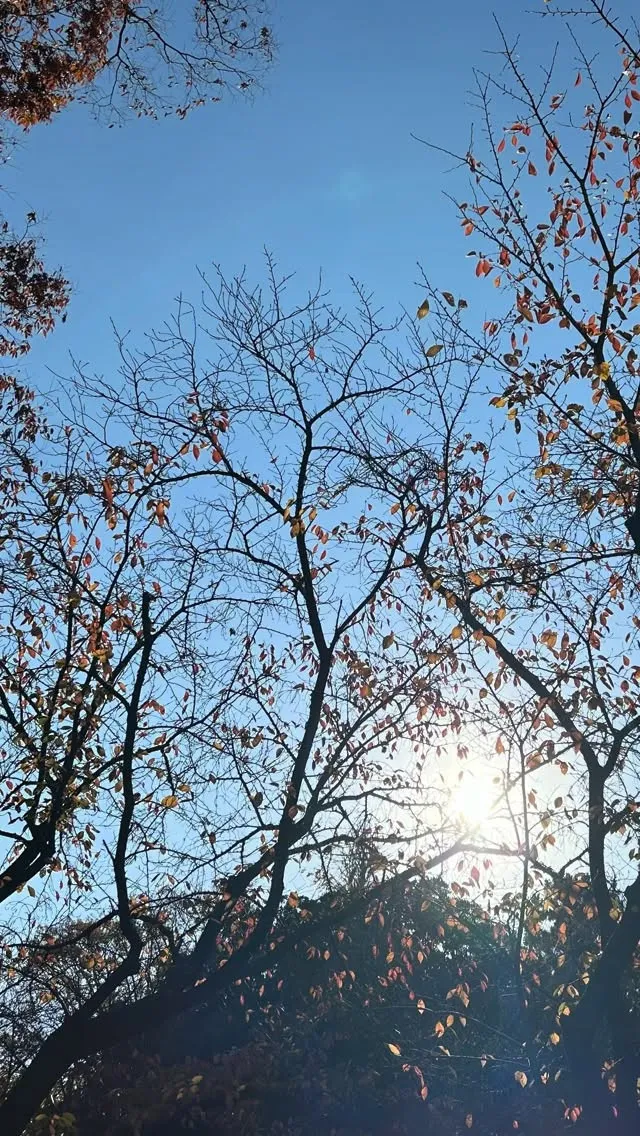 那谷寺にいきました。