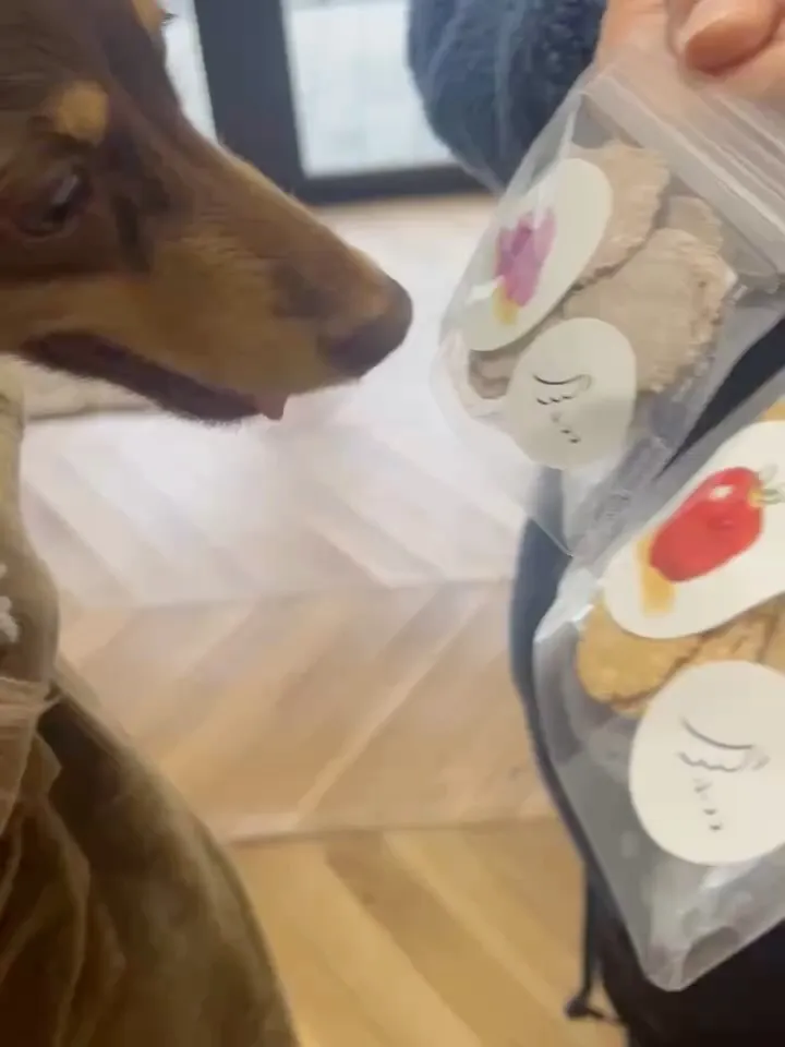 恥ずかしがり屋さんほど、車の中でにっこりぱくり♡ 鈴ちゃん｜...