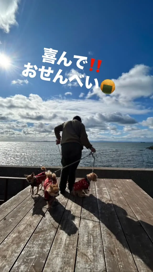 おせんべい喜んでくれています。