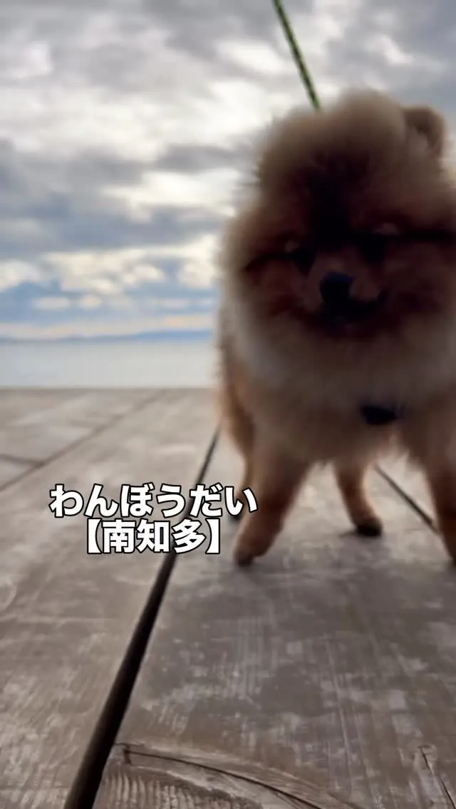 わんぼうだいへようこそ！みるくちゃん＆ラッキーくん