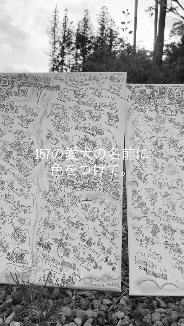 157の愛犬の名前に色をつけて。