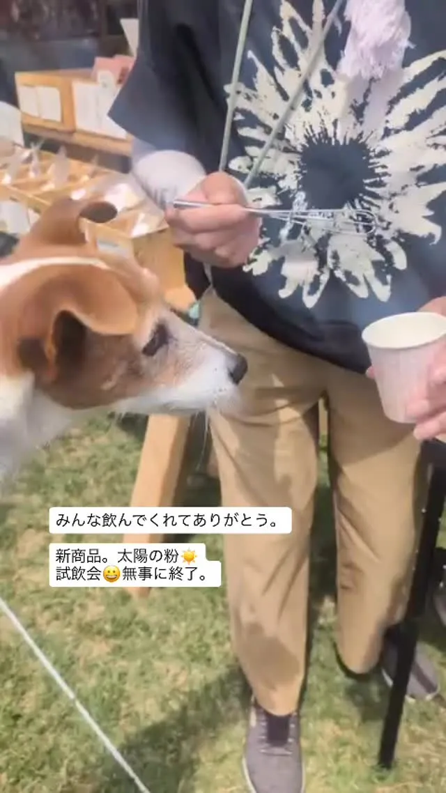 新商品。