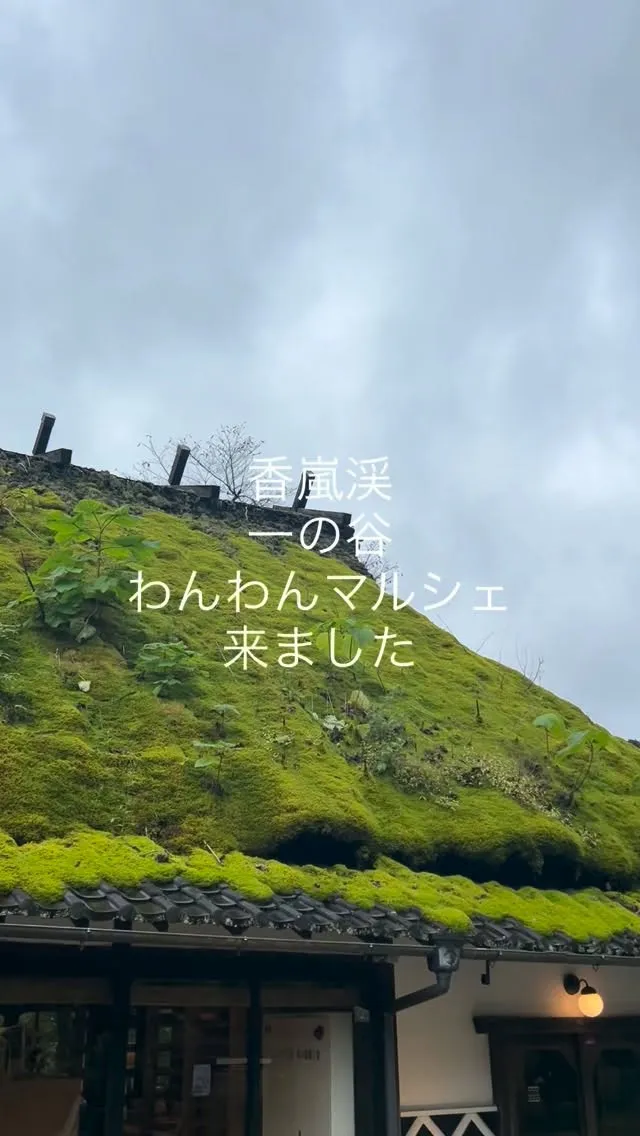 香嵐渓一の谷わんわんマルシェにきています。
